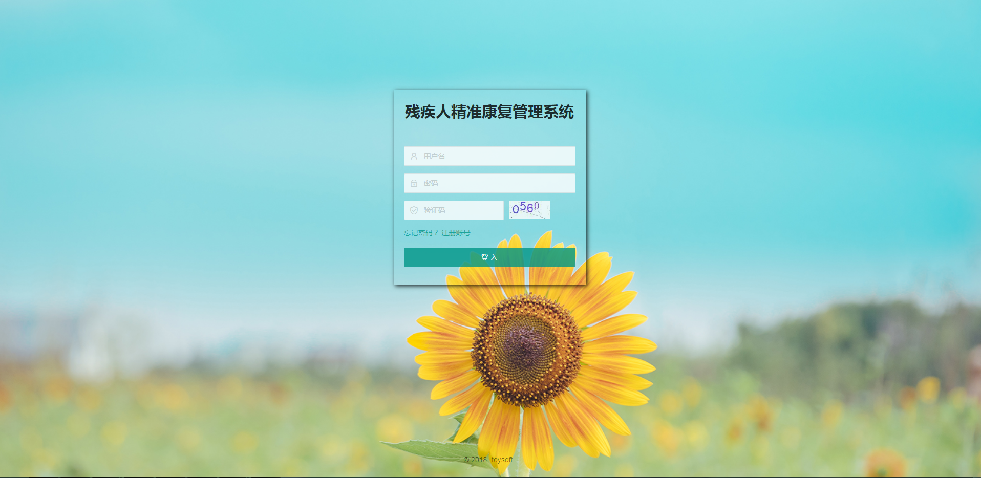 精準(zhǔn)康復(fù)管理系統(tǒng)